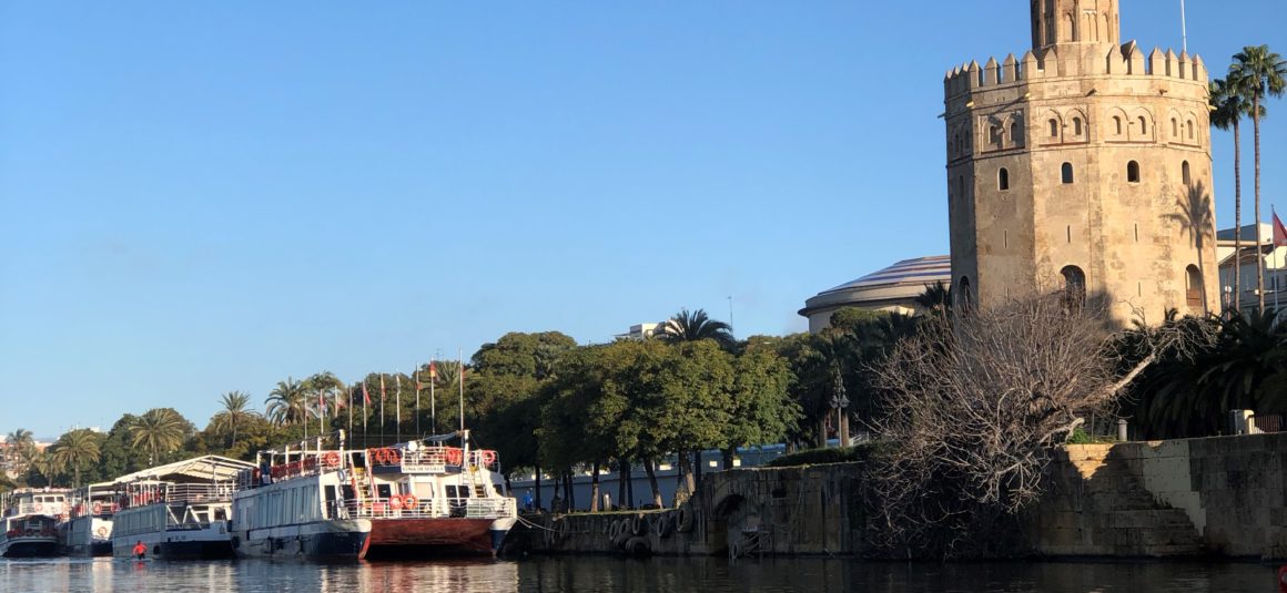(Español) 🥇Ander Martín, 1° en las pruebas de selección para ser uno de los integrantes del Equipo Nacional de Remo.💪🏻