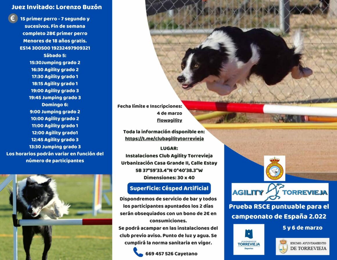 (Español) EL CLUB AGILITY TORREVIEJA SERÁ ANFITRIÓN DE UNA PRUEBA DE LA RSCE, PUNTUABLE PARA EL CAMPEONATO DE ESPAÑA.