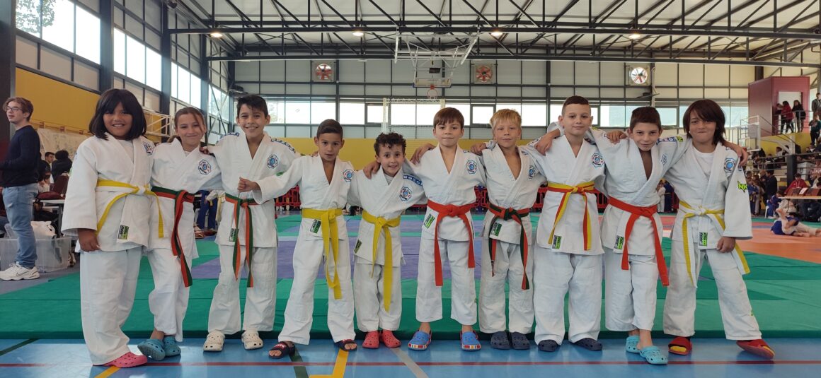 ✌🏻🥋13 MEDALLAS PARA EL JUDO CLUB NOZOMI EN LA COPA DE MOIXENT (VALENCIA)👏🏻