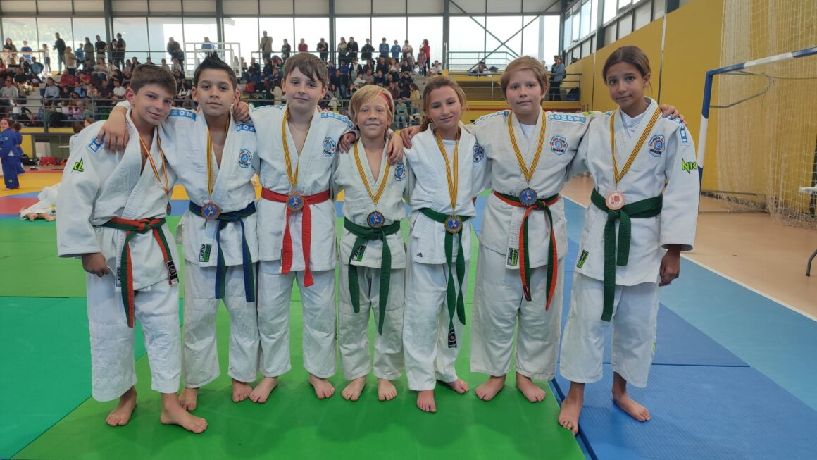 7 OROS, 3 PLATAS Y 6 BRONCES PARA EL JUDO CLUB NOZOMI EN MOIXENT