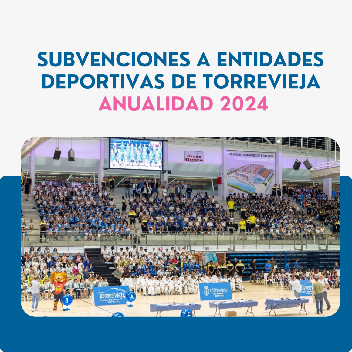 Torrevieja ha invertido 400.000 euros en fomentar el deporte federado y el alto rendimiento.